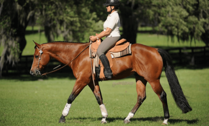  What are some exercises to improve core strength for better riding posture?