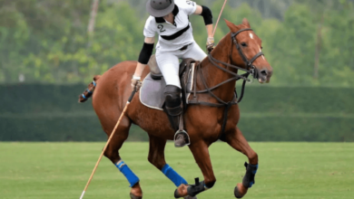 What is the history of polo, and how did it become an equestrian sport?