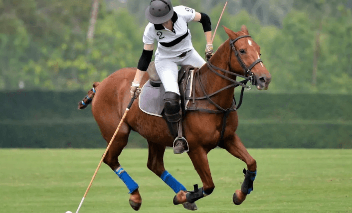 What is the history of polo, and how did it become an equestrian sport?