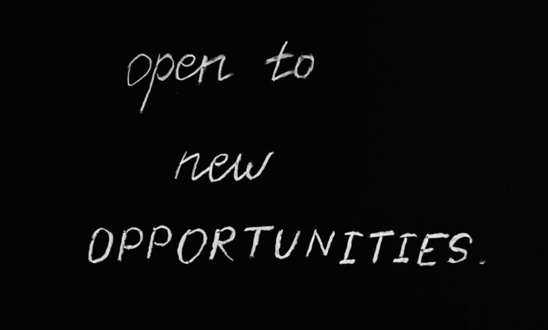 innovation in opposition strategy