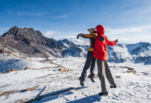 The Ultimate Travel Companion