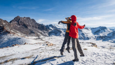 The Ultimate Travel Companion