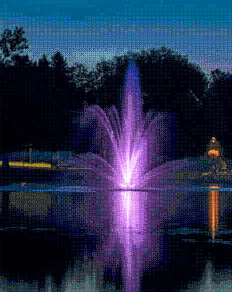 How a Professional Fountain Tech Company Can Save You Time and Money
