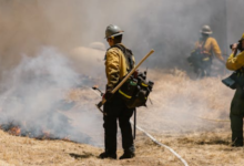 Complete Guide to Fire and Safety Compliance Requirements