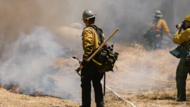 Complete Guide to Fire and Safety Compliance Requirements