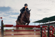 How to Start and Succeed in Amateur Equestrian Sports