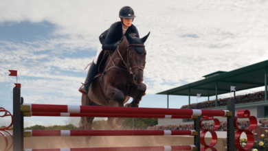 How to Start and Succeed in Amateur Equestrian Sports