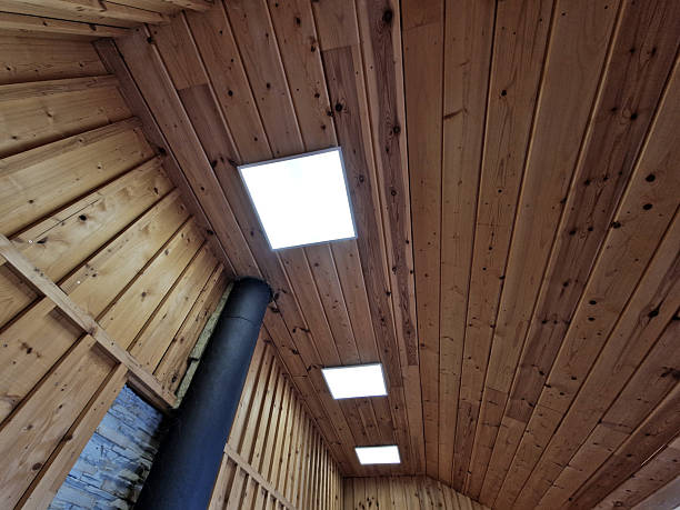 Energy Saving Advantages of Pitched Rooflights