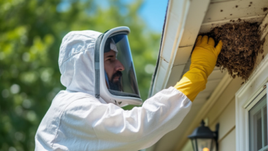 Hornet Pest Removal Experts: Managing Seasonal Infestations in 2025