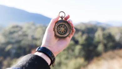 Understanding Chicago Employee Retirement Plan Strategies