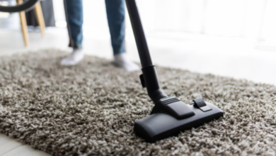 Expert Rug Cleaning Services for Long Lasting Beauty at Home 