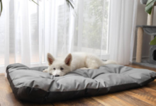 Waterproof Dog Bed Covers for Indoor and Outdoor Use
