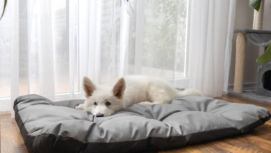 Waterproof Dog Bed Covers for Indoor and Outdoor Use