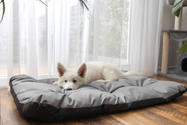 Waterproof Dog Bed Covers for Indoor and Outdoor Use