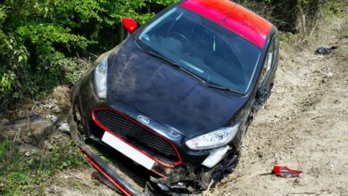 accurate information sheet review