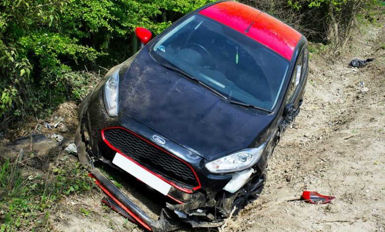 accurate information sheet review