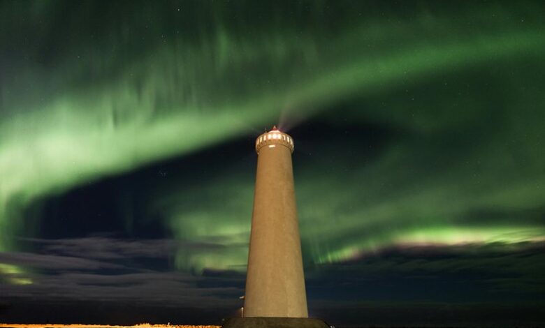 aurora signal base contact