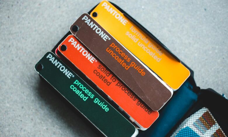 branding growth guide 3016794034