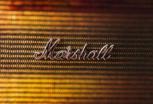 branding maximizer growth system