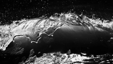 fusion momentum and digital crest