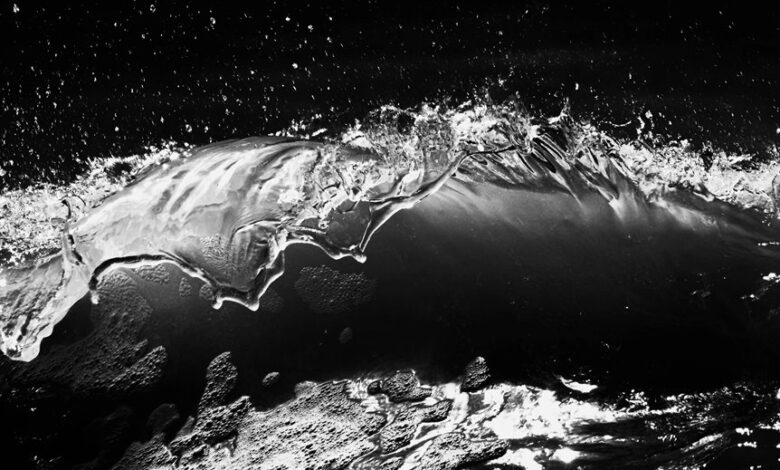 fusion momentum and digital crest