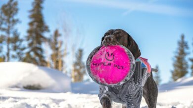 hyper flow market node 711753888