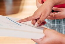 ippa background contact review