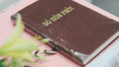 network registry overview system records