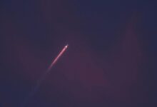 omega stream 917906069 market orbit