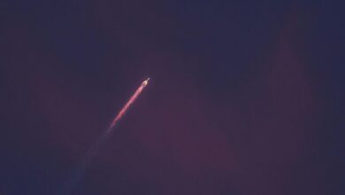 omega stream 917906069 market orbit