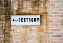 seo guide for digital engine