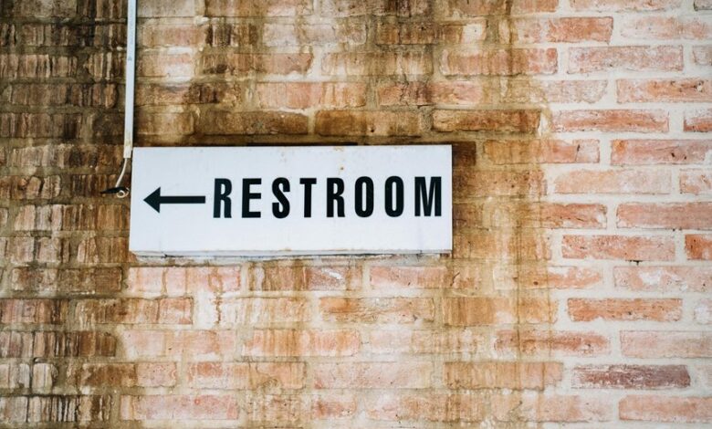 seo guide for digital engine