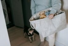 smarter moves succeed daily