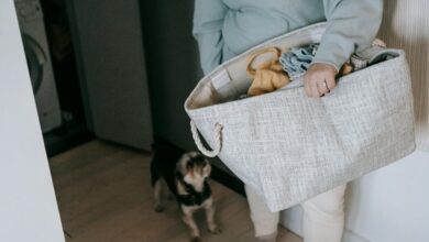 smarter moves succeed daily