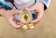 structured business mapping for growth alignment