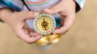 structured business mapping for growth alignment