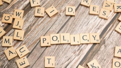 traffic authority strategy framework document