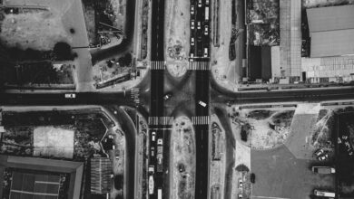 traffic engine growth plan for 2722027318