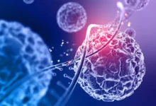 Is Stem Cell Therapy Safe? Benefits, Safety and Clinical Evidence Explained