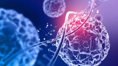 Is Stem Cell Therapy Safe? Benefits, Safety and Clinical Evidence Explained