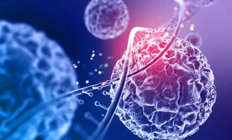 Is Stem Cell Therapy Safe? Benefits, Safety and Clinical Evidence Explained