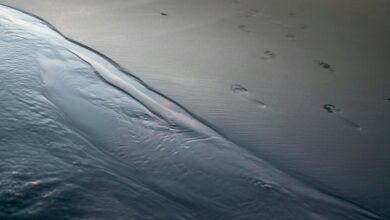 digital flow reveals contact trace intelligence