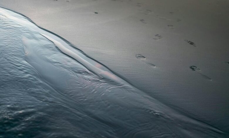 digital flow reveals contact trace intelligence