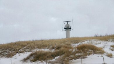 digital radar verified caller signals