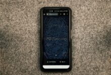 insight network revealing phone trace