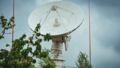 signal finder start 507 389 2550