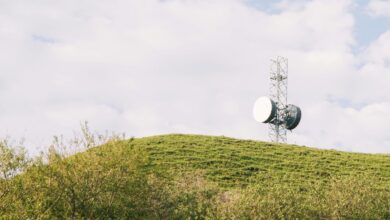 signal horizon start caller lookup accuracy