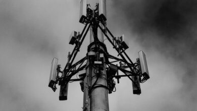 signal network start caller lookup_ip