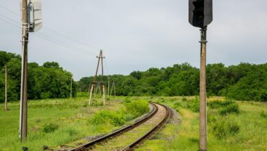 signal stream start trusted contact tracking