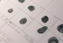 advanced record analysis identifiers and sources